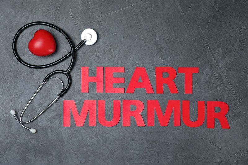 Text Heart Murmur with stethoscope